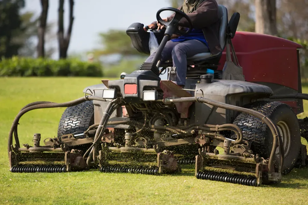 affordable websites commercial landscaping Houston TX