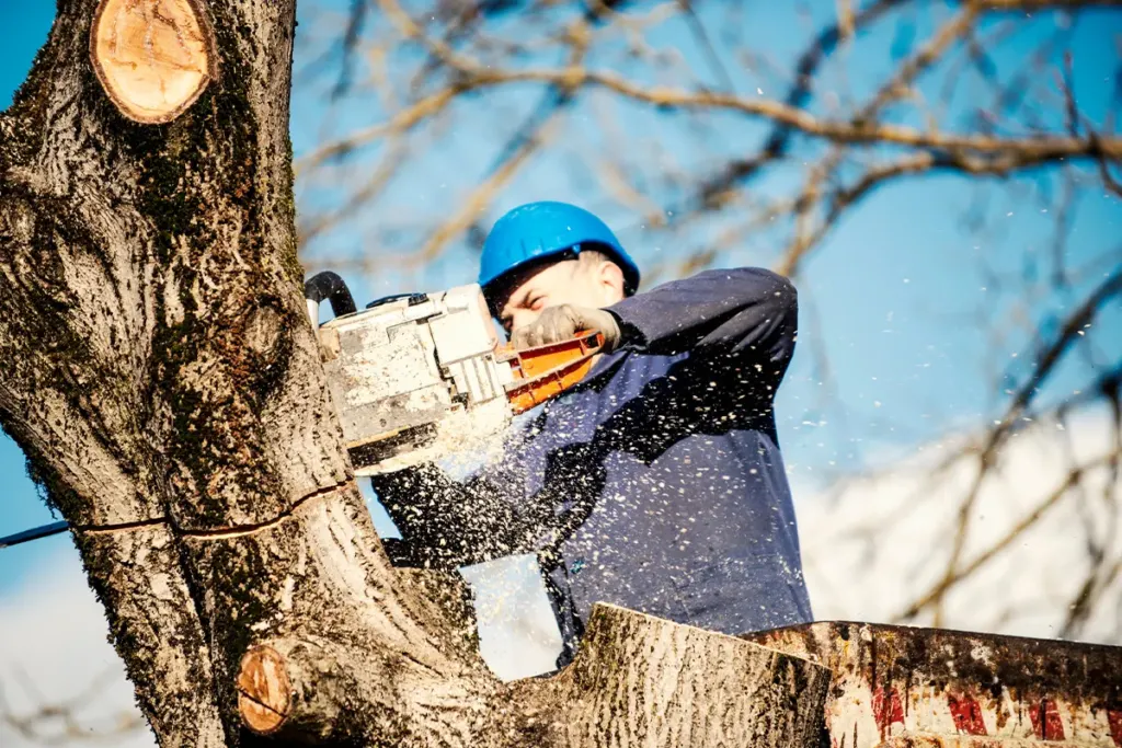 lead producing tree service websites